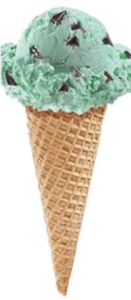 Mint Chocolate Chip