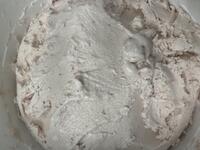 Skagit Valley Strawberry